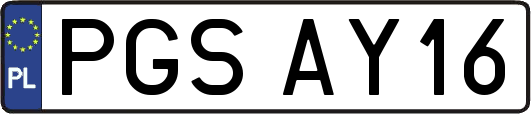 PGSAY16