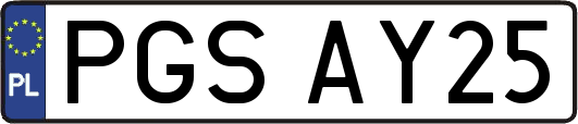 PGSAY25