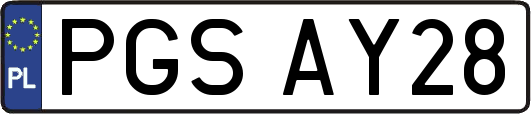 PGSAY28