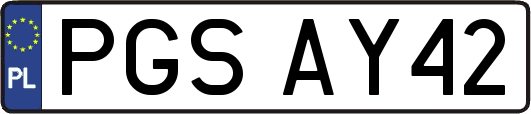 PGSAY42