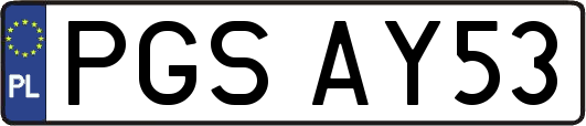 PGSAY53