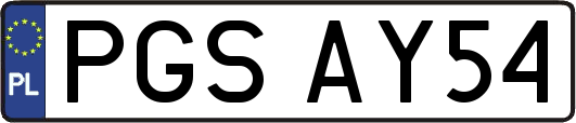 PGSAY54