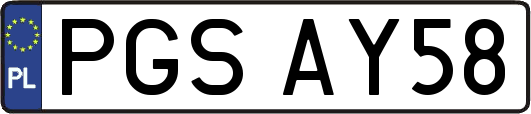 PGSAY58
