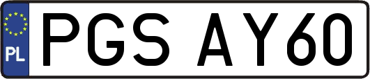PGSAY60
