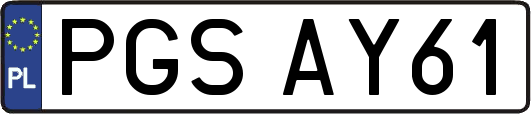 PGSAY61