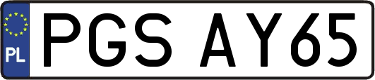 PGSAY65