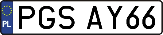 PGSAY66
