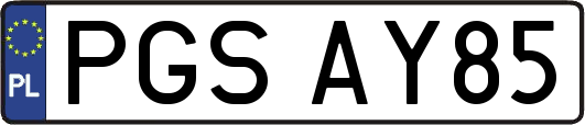 PGSAY85
