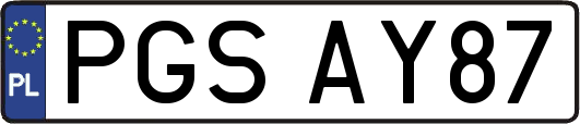 PGSAY87
