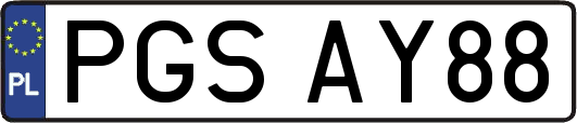 PGSAY88