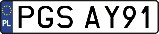 PGSAY91