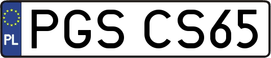 PGSCS65