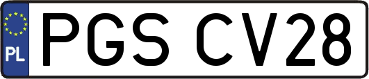 PGSCV28