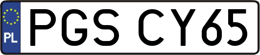 PGSCY65