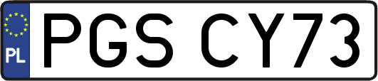 PGSCY73
