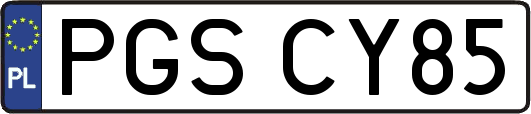 PGSCY85