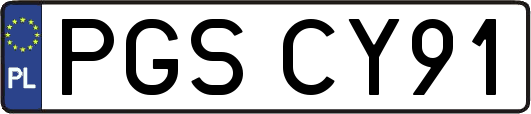 PGSCY91