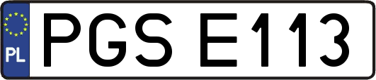 PGSE113
