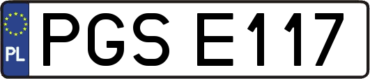 PGSE117