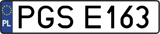 PGSE163
