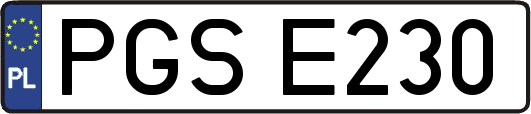 PGSE230