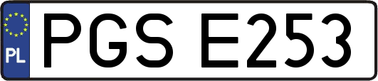 PGSE253