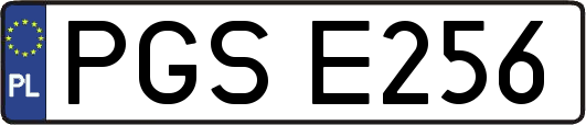 PGSE256