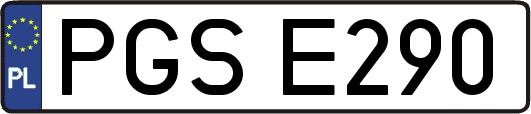 PGSE290