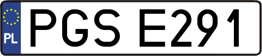 PGSE291