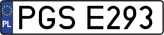 PGSE293