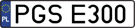 PGSE300