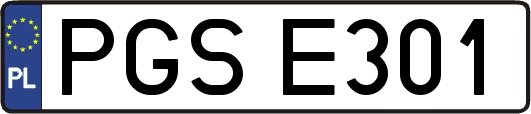 PGSE301