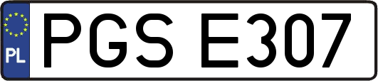 PGSE307