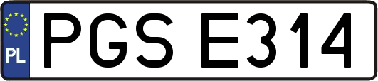 PGSE314