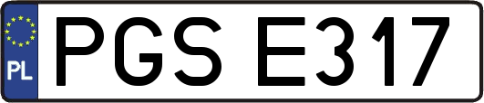 PGSE317