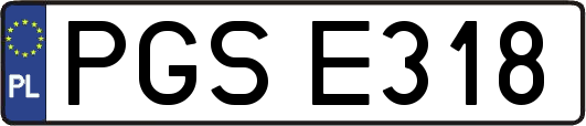 PGSE318