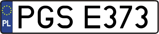 PGSE373