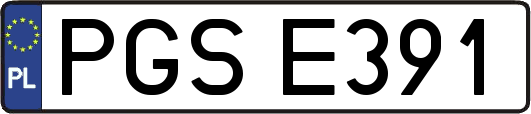 PGSE391