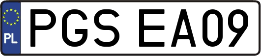 PGSEA09