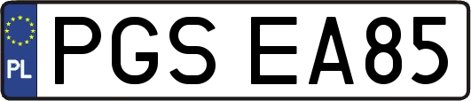 PGSEA85
