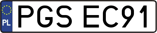 PGSEC91