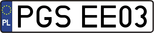 PGSEE03