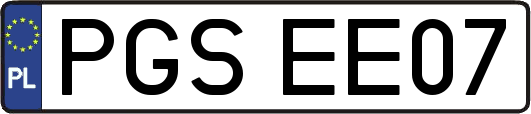 PGSEE07