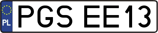 PGSEE13