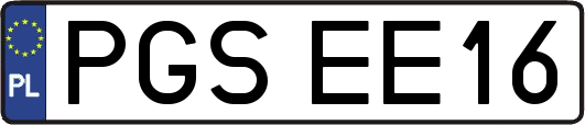 PGSEE16