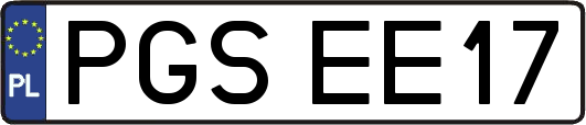 PGSEE17
