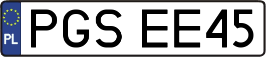 PGSEE45