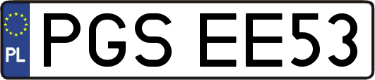 PGSEE53