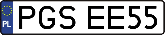 PGSEE55