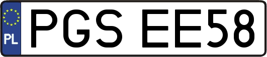 PGSEE58